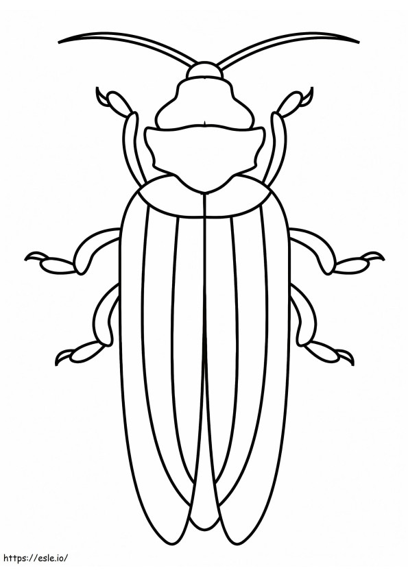 Free Beetle coloring page