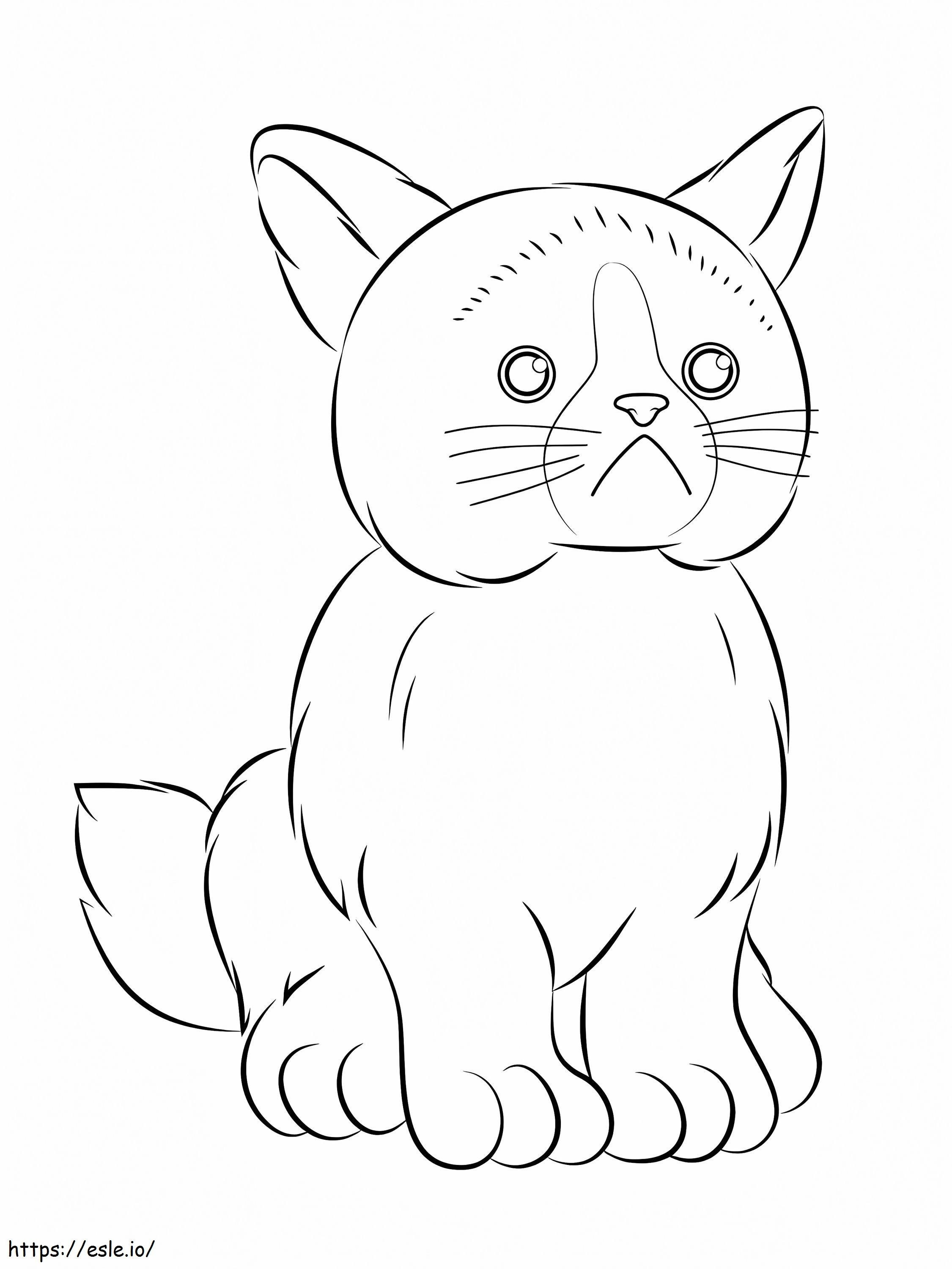 Webkinz Grumpy Cat coloring page