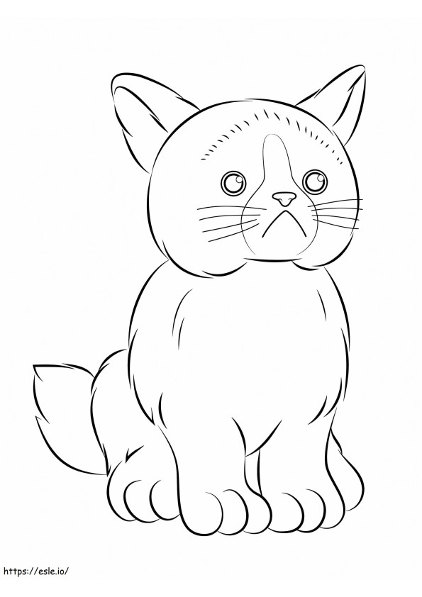 Gato mal-humorado Webkinz para colorir