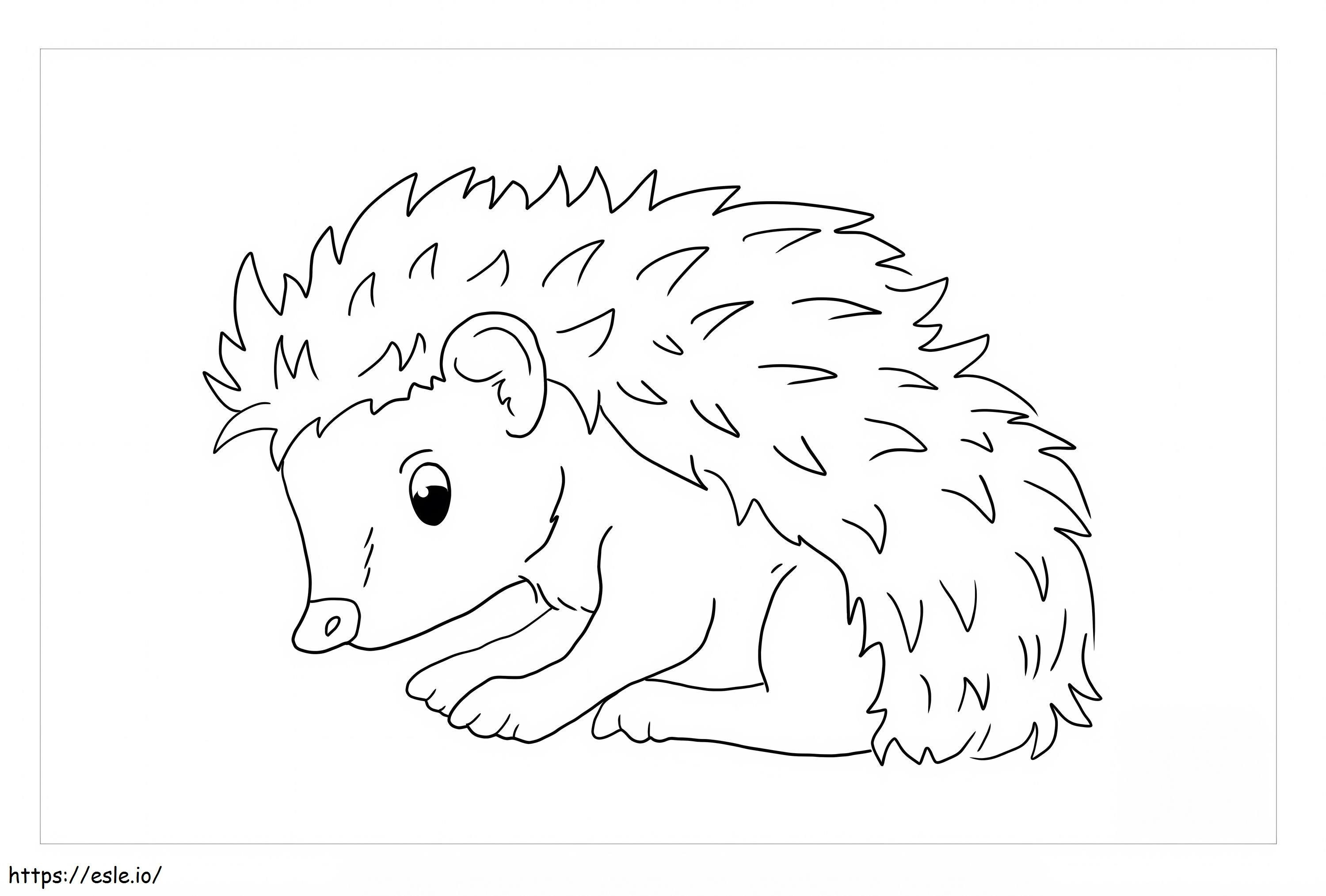 Perfect Hedgehog coloring page