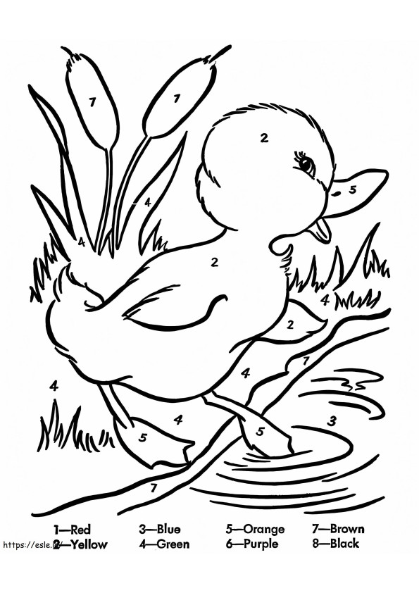 Duckling For Kindergarten Color By Number coloring page