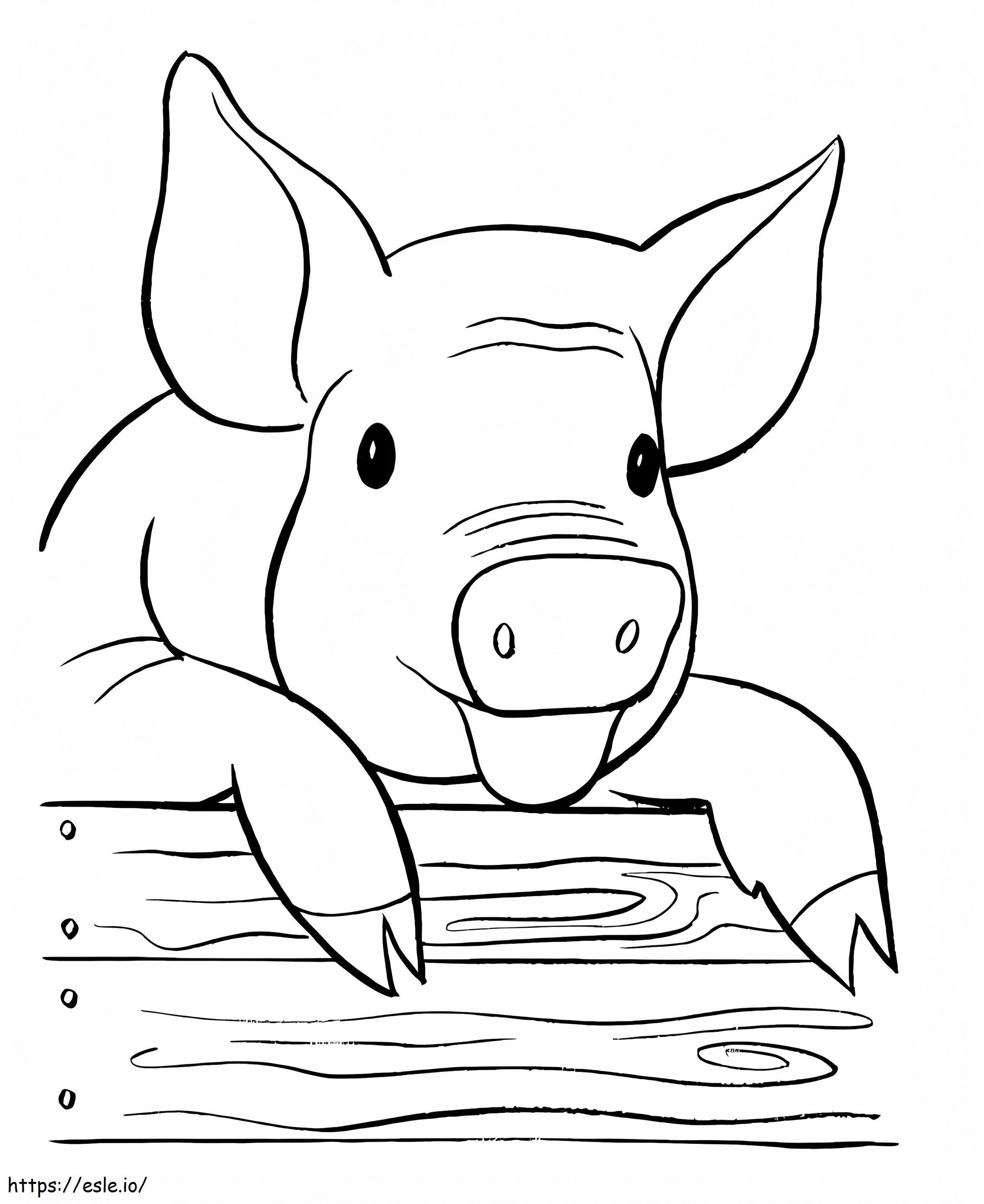 Coloriage Cochon 2 à imprimer dessin