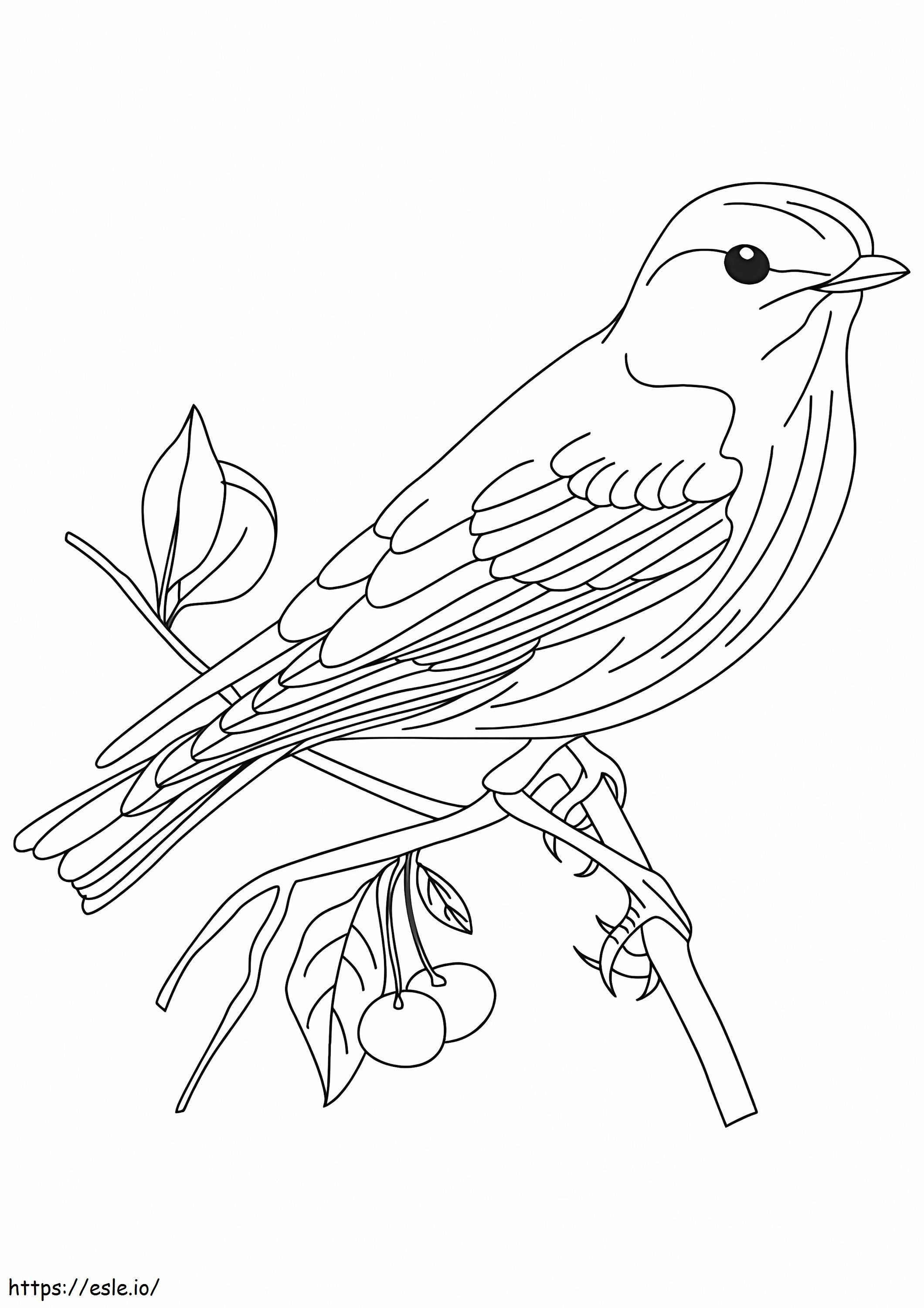1526425586 American Tree Sparrow A4 kifestő