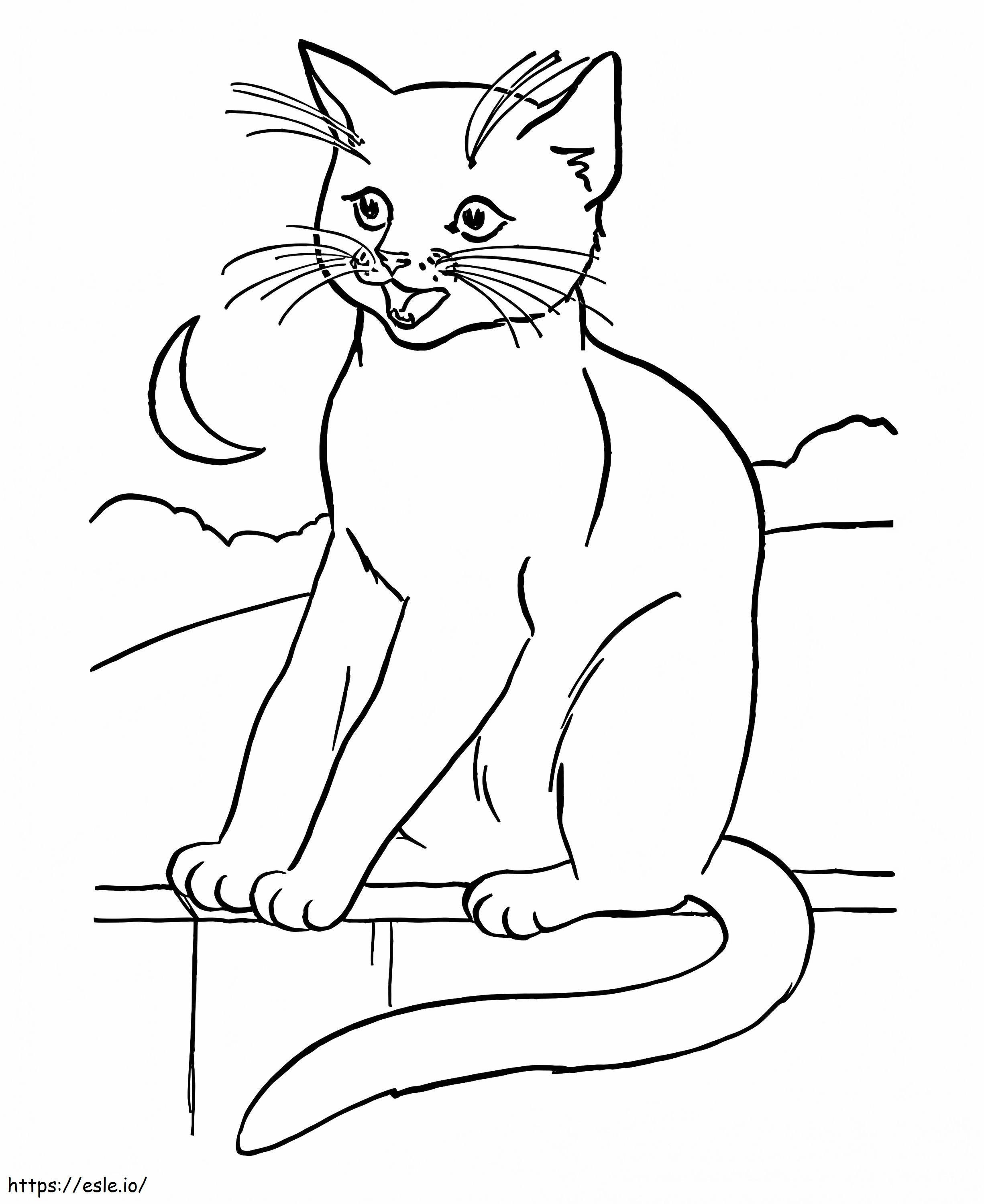 Cat Printable coloring page